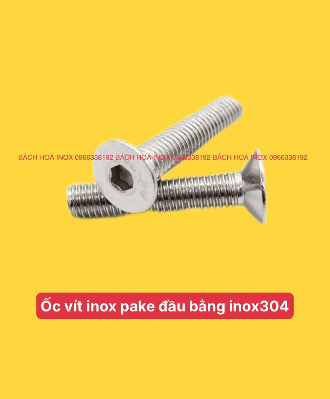 ỐC VÍT INOX PAKE ĐẦU BẰNG INOX304